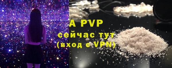 крисы Краснослободск