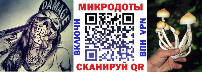 цены   Ленинск-Кузнецкий  Псилоцибиновые грибы Cubensis 